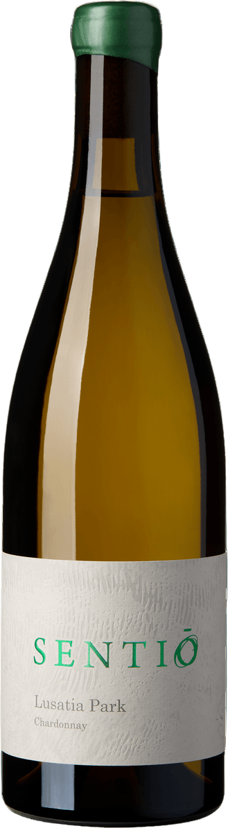 Chardonnay 2024 — Yarra Valley